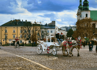 Krakow: The Enchanting City That Will Steal Your Heart! Krakow Krakow Poland Krakow city krakow city center krakow old town golden tulip krakow cracovia city krakow city in poland saold town krakow polandlt mines krakow