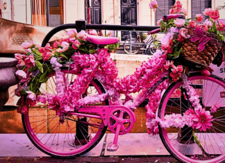 CYCLES IN AMSTERDAM! How It Became the Inspiring Cycling Capital of the World? Amsterdam Amsterdam city cycles in Amsterdam Bikes in Amsterdam Amsterdam Netherlands Cycle capital of the world