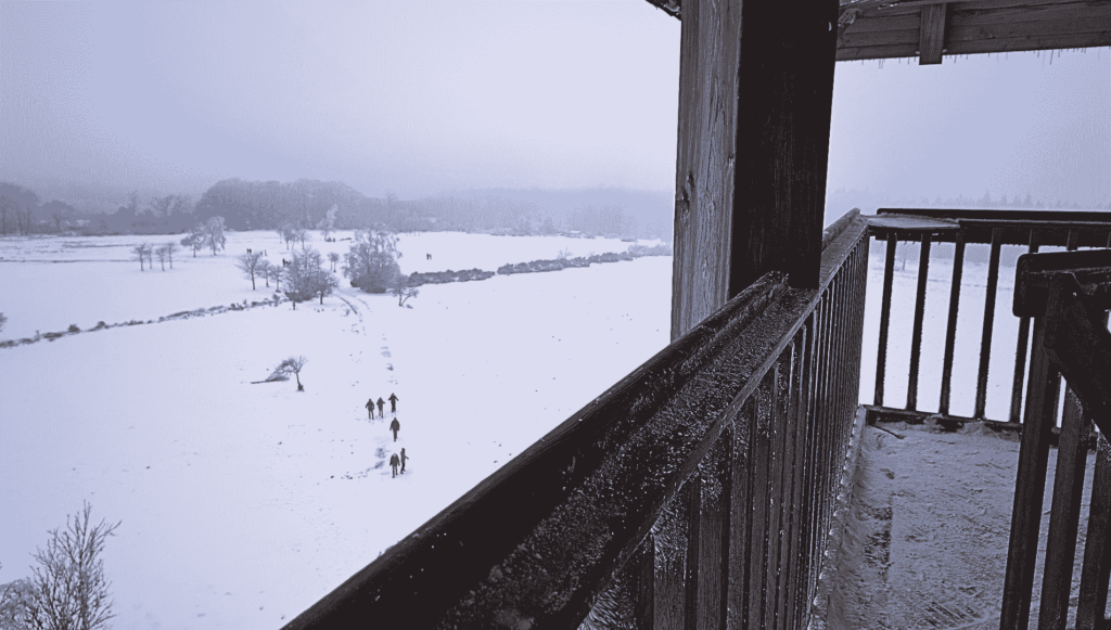 Hautes Fagnes
Hautes Fagnes Belgium