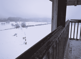 Hautes Fagnes: An Unforgettable 18km Hiking Adventure Through Belgium’s Majestic Nature Hautes Fagnes